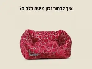 מיטה לכלבים | איך לבחורנכון מיטת כלבים