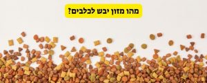 מהו מזון יבש לכלבים