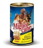 חנות חיות בראשון לציון