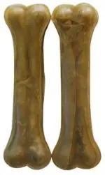 חנות חיות בנס ציונה