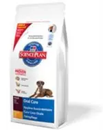 חנויות חיות