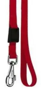 חנויות חיות