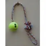 חנויות חיות