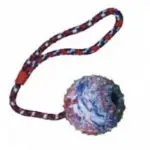 חנויות חיות