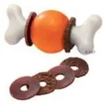 חנויות חיות