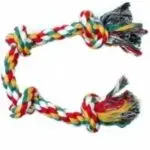 חנויות חיות