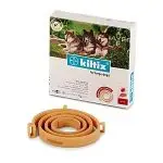 צעצועים לכלבים