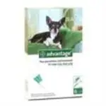 צעצועים לכלבים