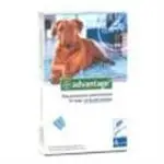 חנות חיות בראשון לציון