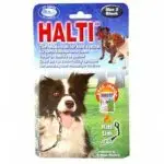 חנות חיות בראשון לציון