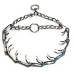 חנות חיות בראשון לציון