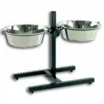 חנות חיות בראשון לציון