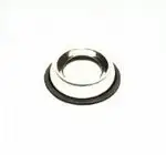 חנות חיות בראשון לציון