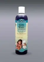 שמפו לכלבים