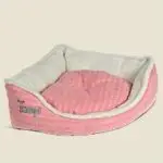 חנויות חיות