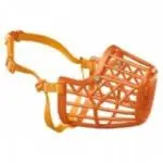 חנויות חיות