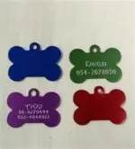 חנויות חיות