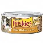 משלוח אוכל לחתולים