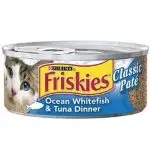 משלוח אוכל לחתולים