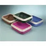 חנות חיות נס ציונה