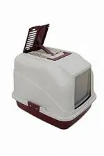 חנות חיות נס ציונה