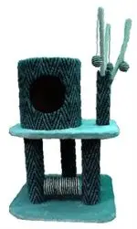 חנות חיות נס ציונה