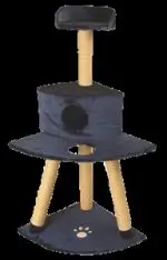 חנות חיות נס ציונה