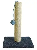 חנות חיות נס ציונה