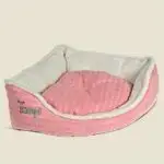 חנות חיות נס ציונה