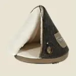 חנות חיות נס ציונה