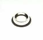 חנות חיות בנס ציונה