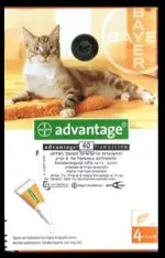 חנות חיות בנס ציונה