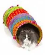 חנות חיות בנס ציונה