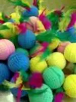 חנות חיות בנס ציונה