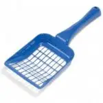 חנות חיות בנס ציונה