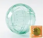 חנות חיות בראשון לציון