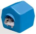 חנות חיות בראשון לציון