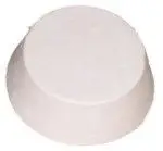 חנות חיות בראשון לציון