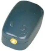 חנות חיות בראשון לציון