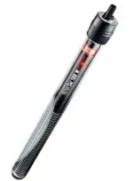 חנות חיות בראשון לציון