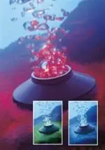 חנויות חיות