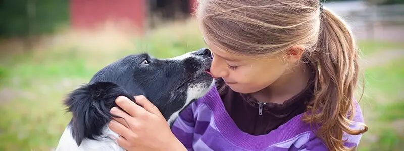 תזונה נכונה לכלבך