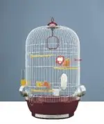 חנות חיות נס ציונה