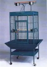 חנות חיות נס ציונה