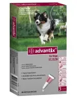 הדברה לכלבים