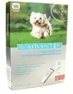 הדברה לכלבים