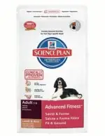 מזון יבש לכלבים