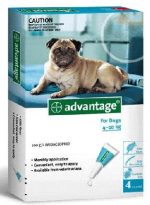 חנות חיות בנס ציונה