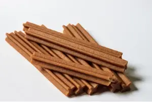 ציוד אילוף כלבים