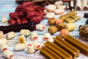 חטיפים לכלבים